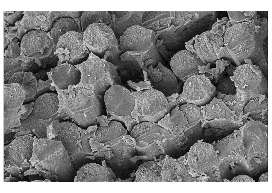 Carbon aerogel based supercapacitor